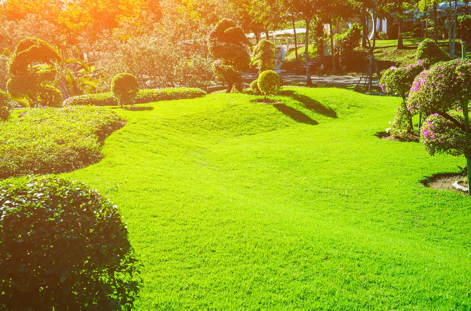 Aménagement de jardin